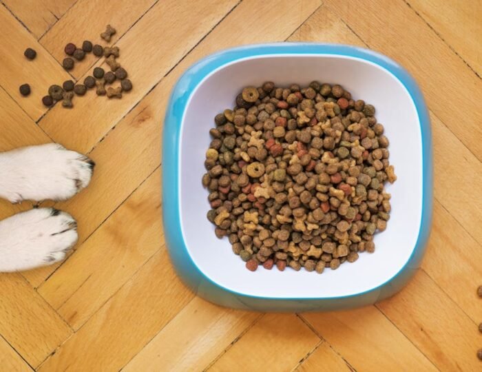 PetCareUA Dog Food Comparison Tool