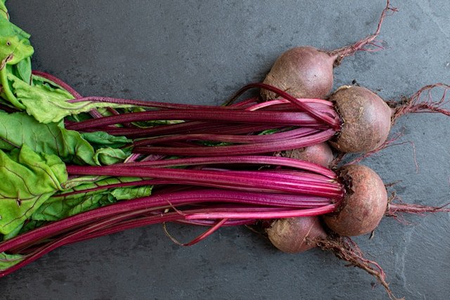 Beets for dogs