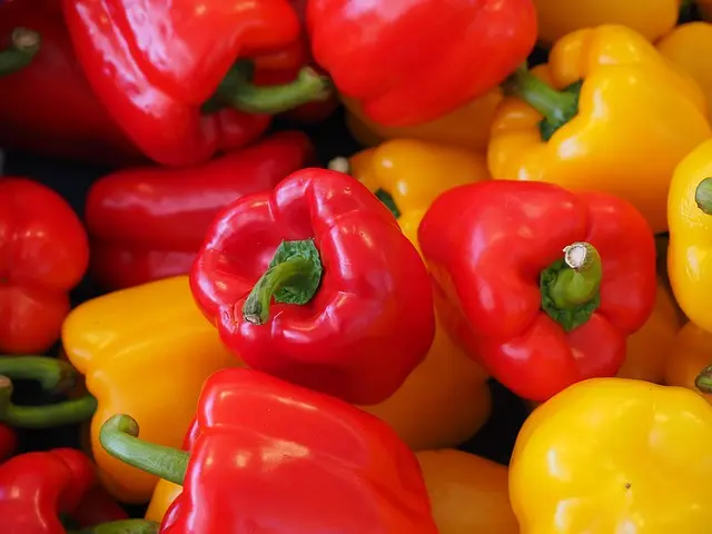 Bell peppers for dogs – colorful vegetable full of vitamin C and antioxidants