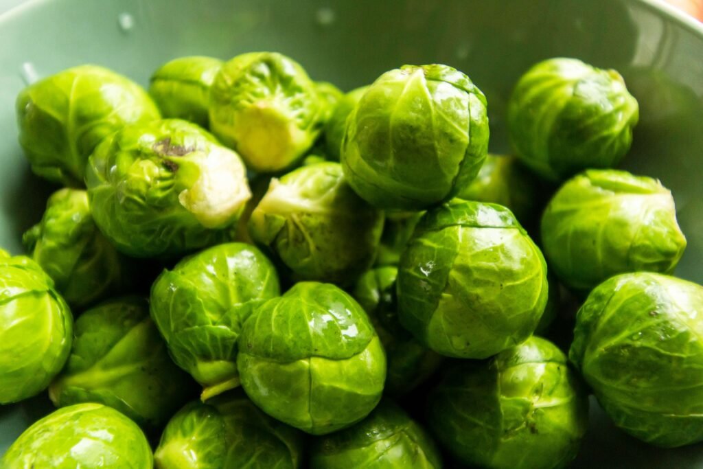 Brussels sprouts for dogs – antioxidant-rich but can cause gas if overfed