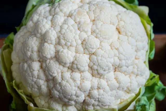 Cauliflower for dogs – low-calorie, fiber-rich vegetable
