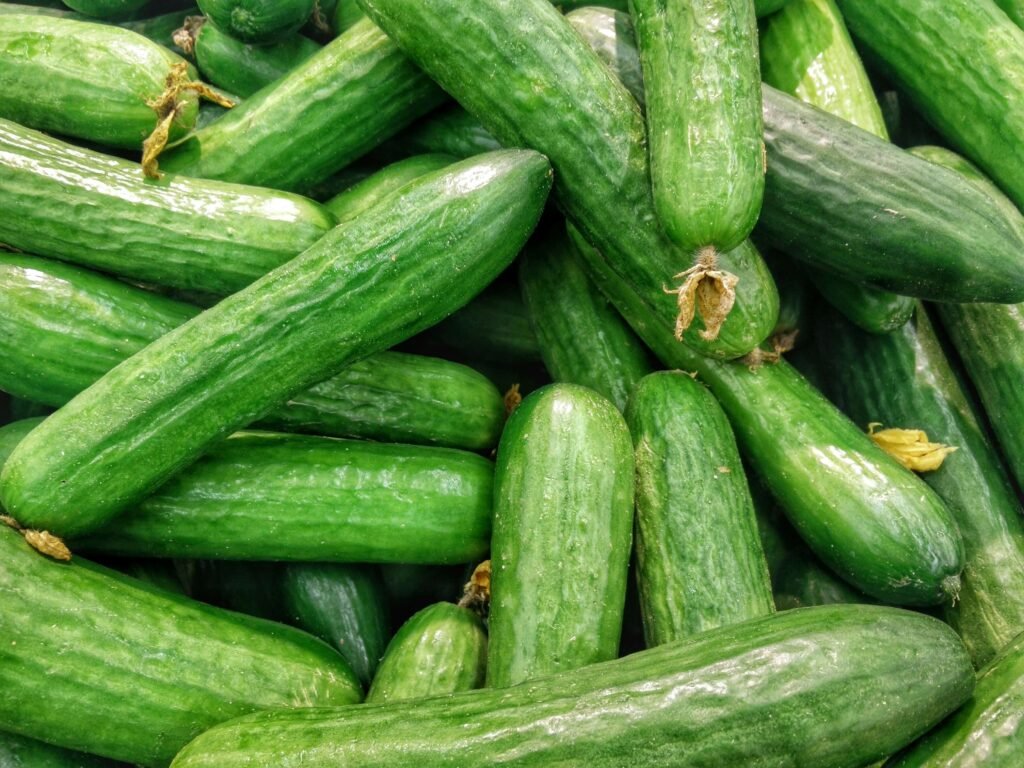 Cucumbers for dogs – refreshing, hydrating vegetable for weight control