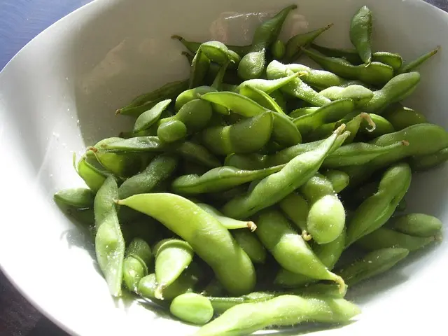 Edamame for dogs – plant protein and omega-3s in moderation