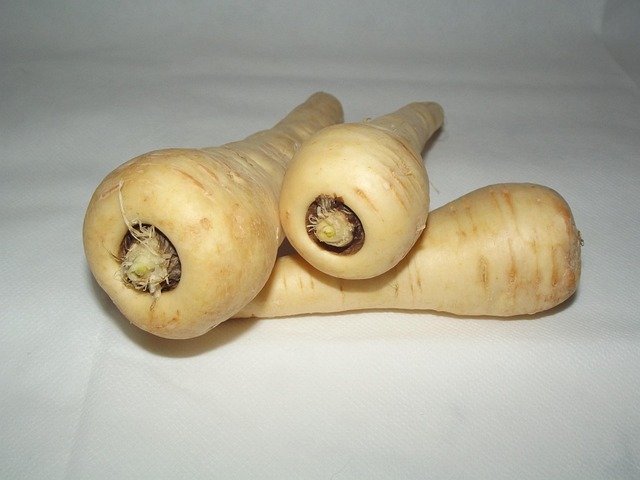 Parsnips for dogs – vitamin C, B6, and potassium rich root vegetable