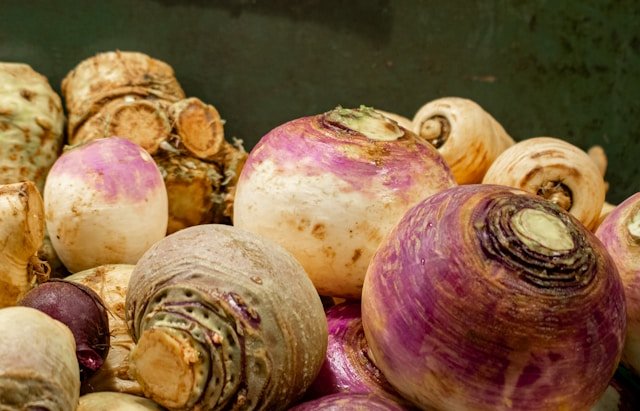 Turnips for dogs – low-calorie root vegetable rich in minerals