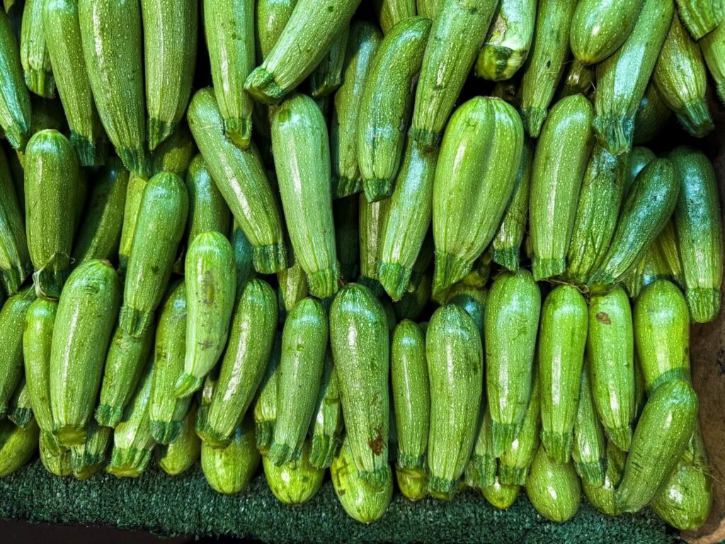 zucchini for dogs – low-calorie, hydrating summer vegetable