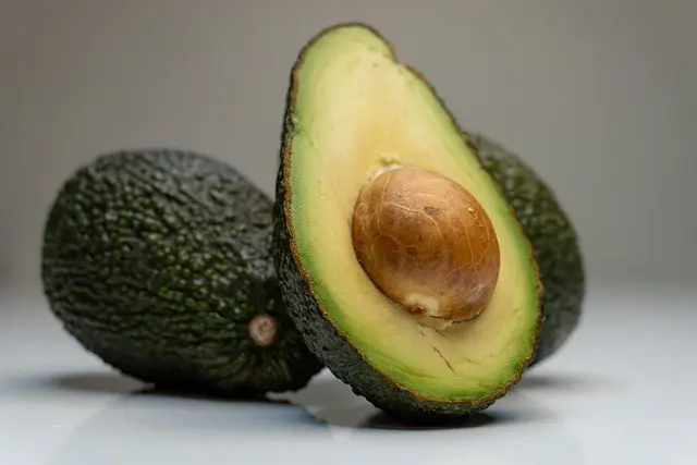 avocado toxic vegetable for dogs