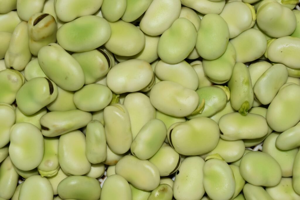 green beans for dogs