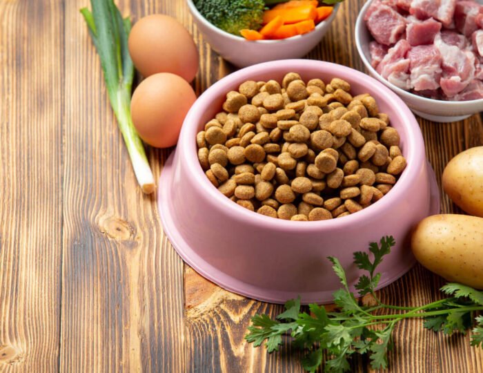 Homemade dog food bowl with vegetables, rice, and meat - how make homemade dog food