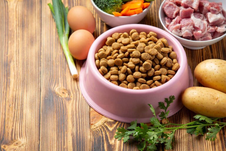 Homemade dog food bowl with vegetables, rice, and meat - how make homemade dog food