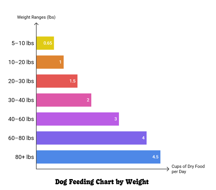 Feeding chart for dogs showing daily food amounts by weight and life stage in 2025