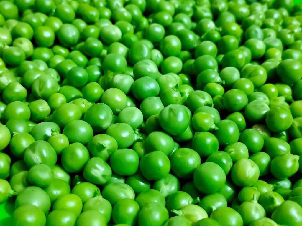 Peas for dogs – protein and B vitamins for energy and growth